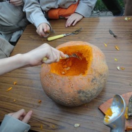 DSC02721 - Scouts en Gidsen Zaventem 